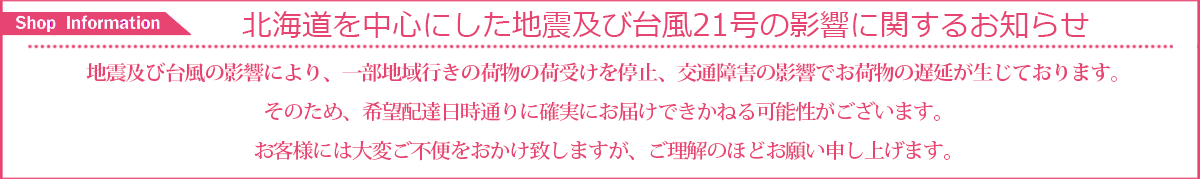 案内